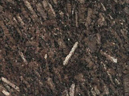 皇室啡(fei)1号(hao)