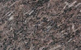 皇室(shi)啡细(xi)长条