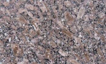 新(xin)品皇(huang)室(shi)啡(fei)