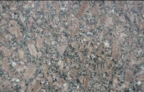 皇(huang)室(shi)啡玫瑰长(zhang)花